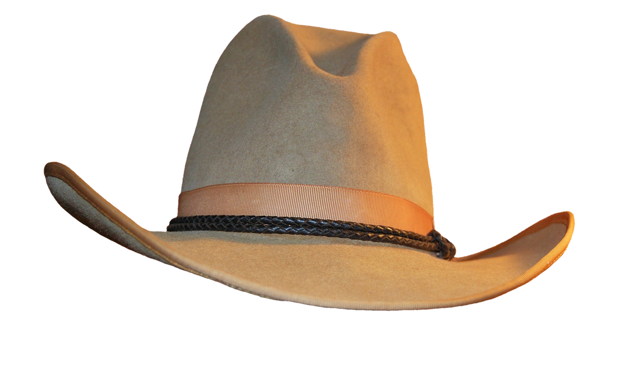 Chapeau de Cowboy 