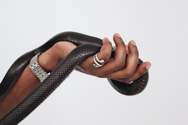 Bijoux serpent